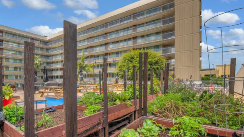 Rooftop garden with raised beds of vegetables and herbs, overlooking a swimming pool and apartment building.