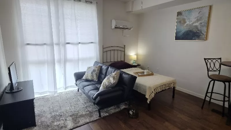 Cozy studio apartment featuring a dark leather sofa, bed, TV, and small dining table on wood floors and a rug.