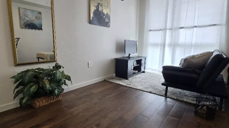 Modern living room with dark wood floors, a large gold mirror, green plant, TV, art, and a chaise lounge by sheer windows.