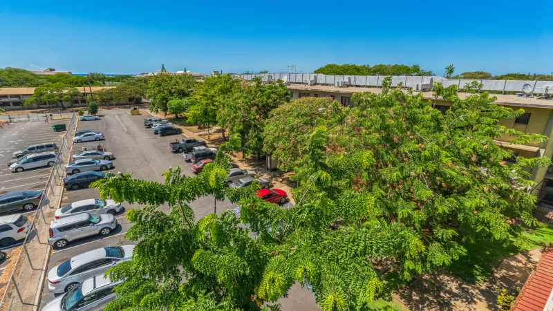 Photograph: A sunny outdoor parking lot filled with cars, flanked by lush green trees with red flowers, under a clear blue sky.