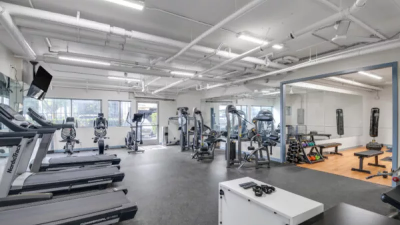 Spacious and modern gym with rows of treadmills, various weight machines, and a boxing area.