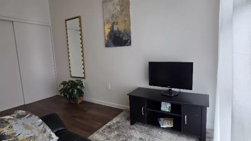 Modern living room with black sectional, gold and grey pillows, light rug, black TV stand, abstract art, and a tall gold mirror.