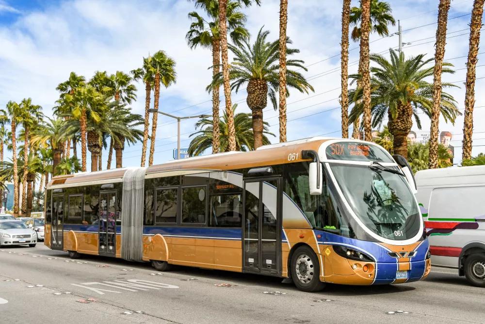 Gold and blue articulated public transit bus driving on a city street with palm trees.