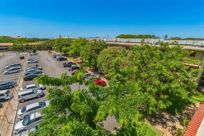 Photograph: A sunny outdoor parking lot filled with cars, flanked by lush green trees with red flowers, under a clear blue sky.